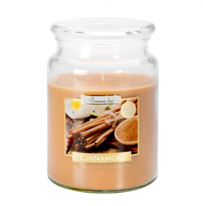 Aura Scented Candles - Αρωματικό Κερί σε Βάζο Κανέλα 500g