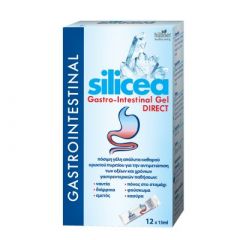 Hubner Silicea Gastro-Intestinal Gel Direct 12 x 15ml